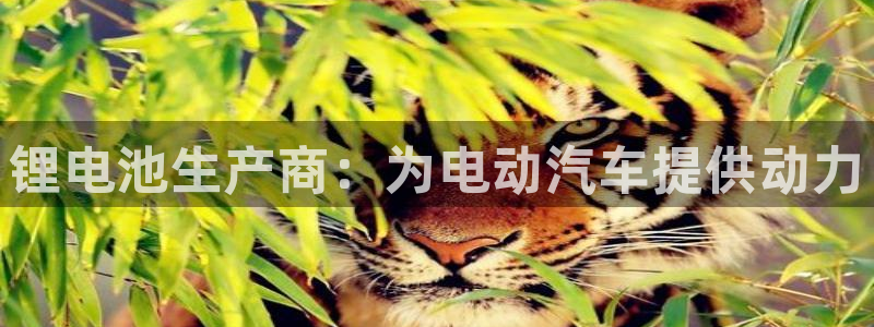 优发国际的官网是什么