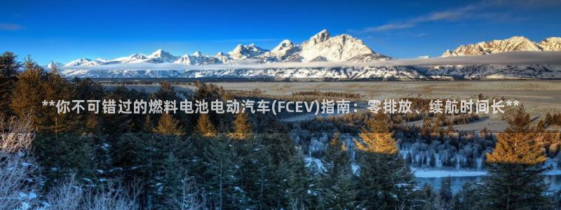 优发国际安卓版下载安装
