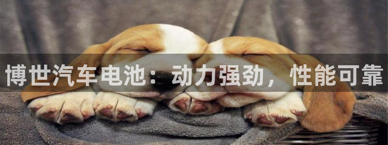 优发国际平台手机版下载官网