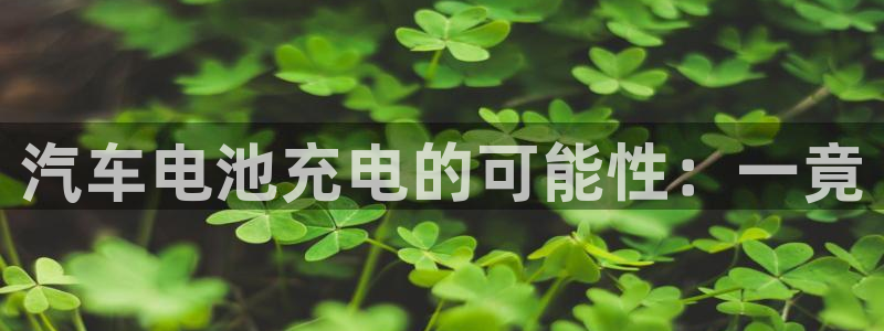 优发国际多少