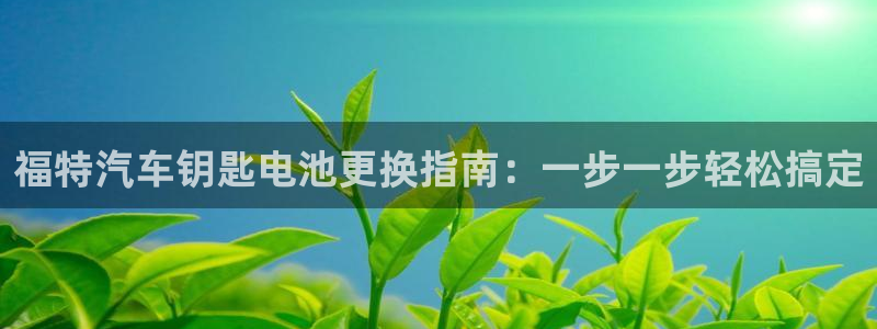 优发国际多少