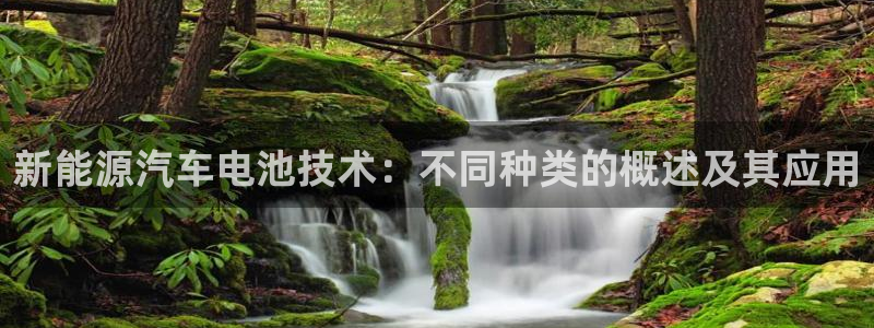 优发国际官网手机版入口