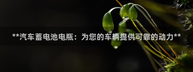 优发国际下载
