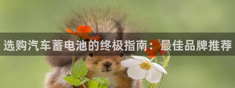 优发国际手机安装登录：选购汽车蓄电池的终极指南：最佳品牌推荐