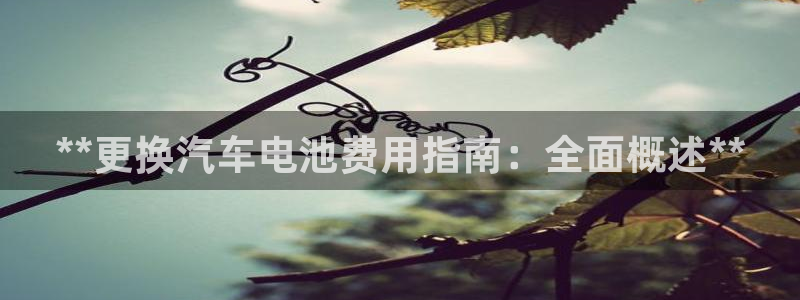 优发国际手机版网站