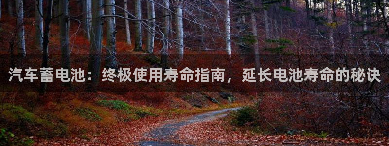 优发国际官网网站
