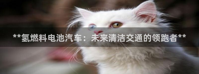 优发国际官网手机版下载安装