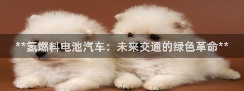 优发娱乐pt官网客户端