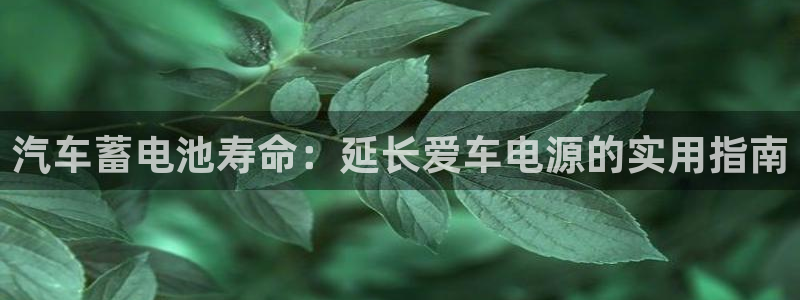 优发国际软件下载官网