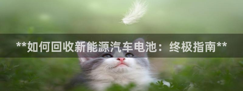 优发国际官网是多少