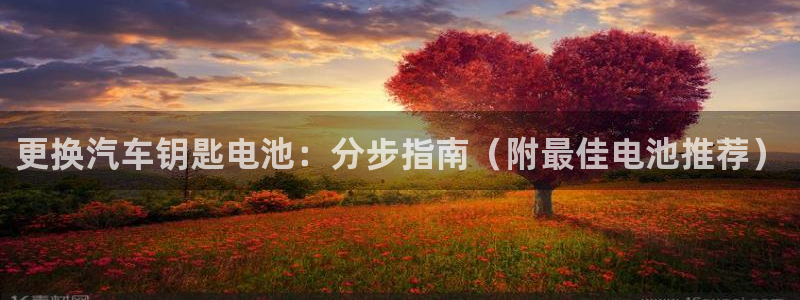优发国际手机客户端下载不了：更换汽车钥匙电池：分步指南（附最佳电池推荐）