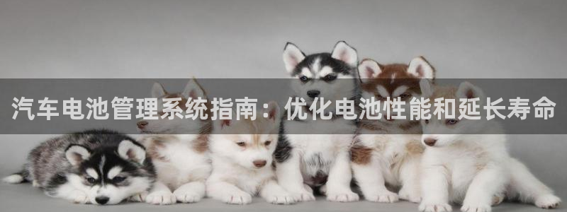 优发国际客服联系方式查询