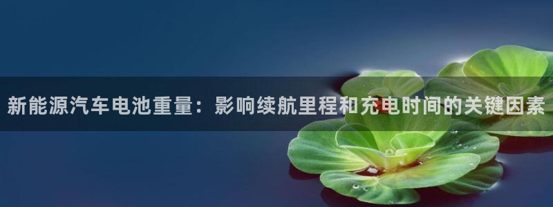 优发国际的官网是正品吗：新能源汽车电池重量：影响续航里程和充电时间的关键因素