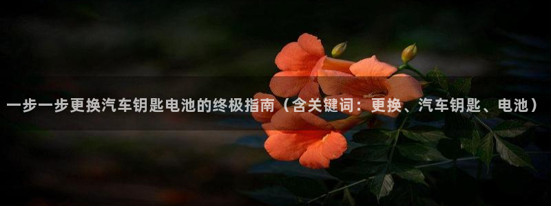 优发国际安卓版下载安装：一步一步更换汽车钥匙电池的终极指南（含关键词：更换、汽车钥匙、电池）