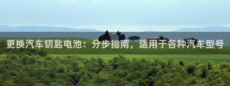 优发国际是什么：更换汽车钥匙电池：分步指南，适用于各种汽车型号