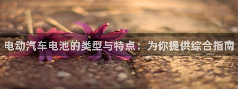 优发国际官网入口app下载