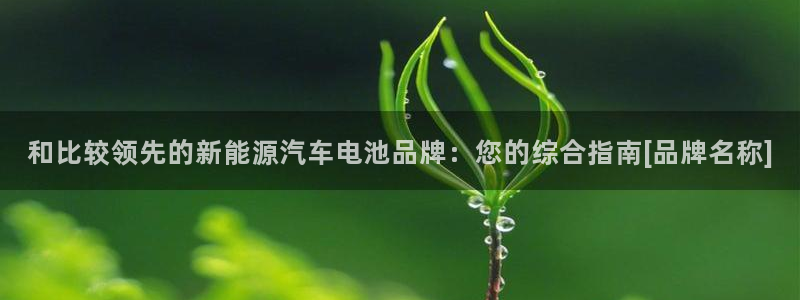 优发国际平台u8怎么样