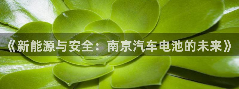 优发国际官网入口app下载苹果：《新能源与安全：南京汽车电池的未来》