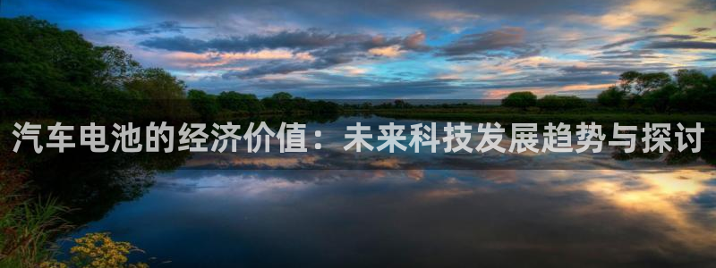 优发国际安卓版下载安装教程：汽车电池的经济价值：未来科技发展趋势与探讨