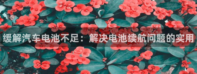 优发国际手机客户端下载官网：缓解汽车电池不足：解决电池续航问题的实用