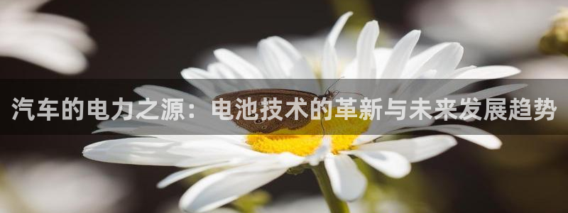 优发国际官网网站：汽车的电力之源：电池技术的革新与未来发展趋势