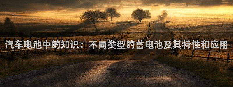 优发国际官方网手机版入口：汽车电池中的知识：不同类型的蓄电池及其特性和应用