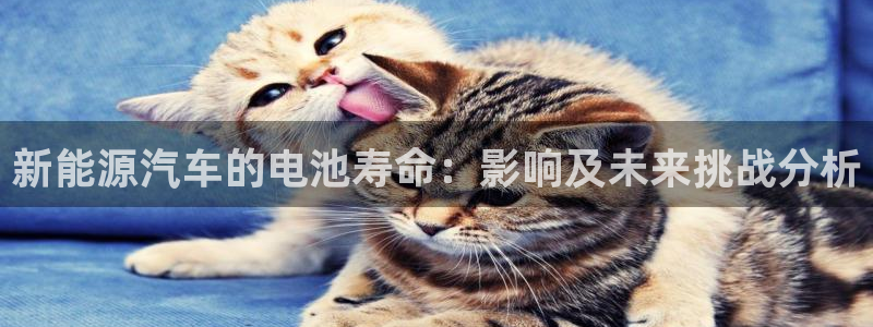 优发国际官方网手机版入口：新能源汽车的电池寿命：影响及未来挑战分析