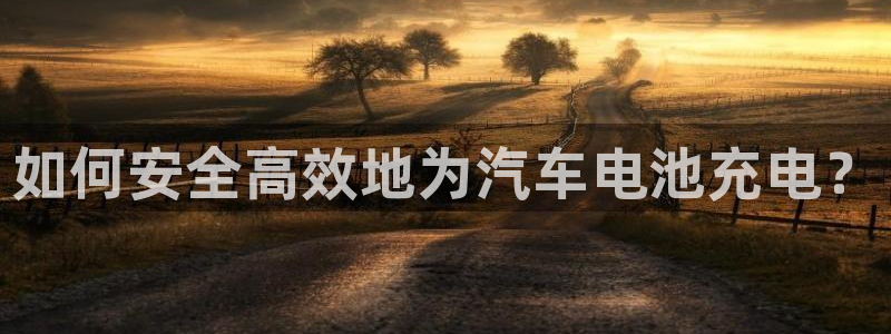 优发国际网站多少：如何安全高效地为汽车电池充电？