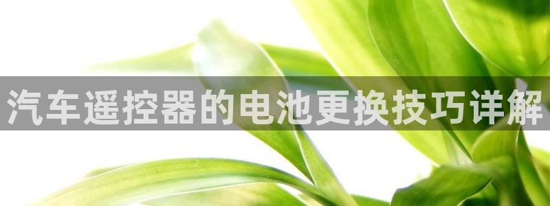 优发国际多少钱