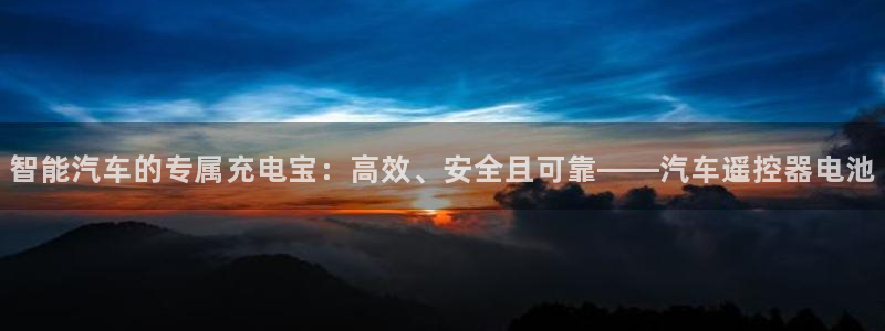 优发国际手机客户端下载安装：智能汽车的专属充电宝：高效、安全且可靠——汽车遥控器电池