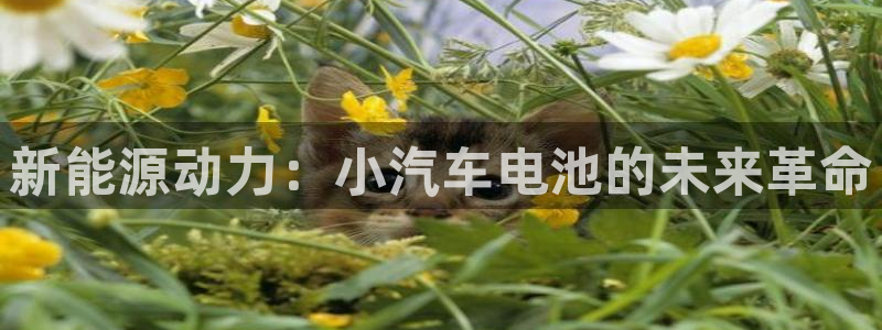 优发国际首页：新能源动力：小汽车电池的未来革命