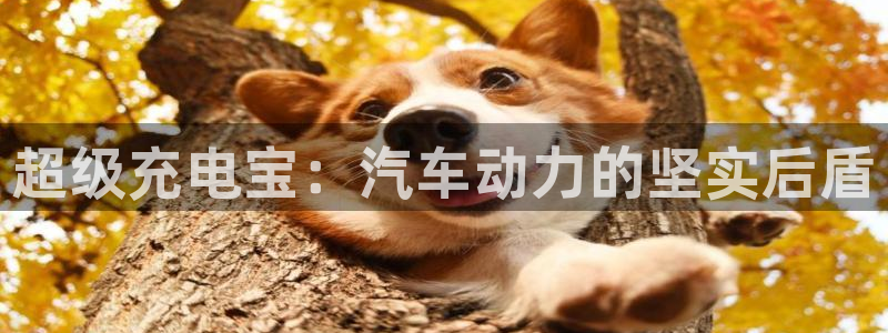 优发国际平台app下载苹果版：超级充电宝：汽车动力的坚实后盾