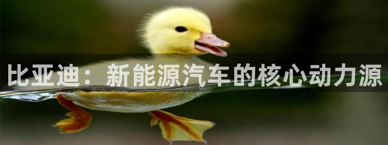 优发国际平台u8