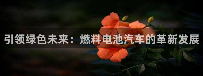 优发国际随优而动一触即发
