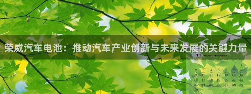 优发国际的官网是正品吗：荣威汽车电池：推动汽车产业创新与未来发展的关键力量