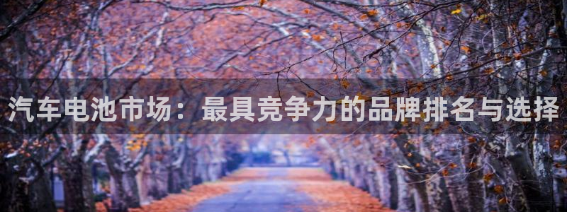 优发国际平台APP：汽车电池市场：最具竞争力的品牌排名与选择