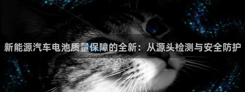优发国际游戏官方网站：新能源汽车电池质量