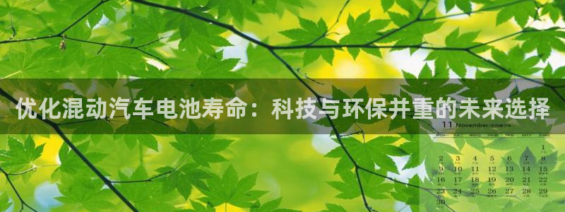 优发国际官网下载安装苹果：优化混动汽车电池寿命：科技与环保并重的未来选择