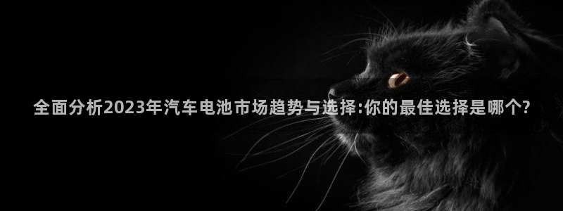 优发国际登录k8：全面分析2023年汽车电池市场趋势与选择:你的最佳选择是哪个?
