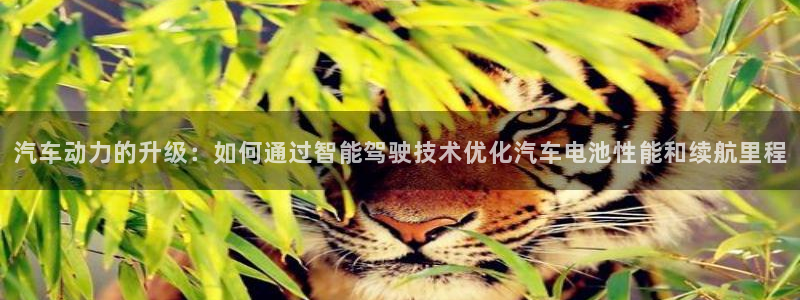 优发国际手机版：汽车动力的升级：如何通过