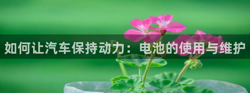 优发国际平台u8是什么公司：如何让汽车保持动力：电池的使用与维护