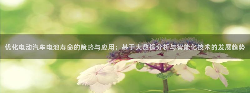 优发国际官网下载app：优化电动汽车电池寿命的策略与应用：基于大数据分析与智能化技术的发展趋势