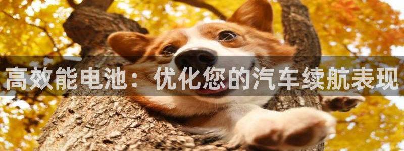 优发国际：高效能电池：优化您的汽车续航表