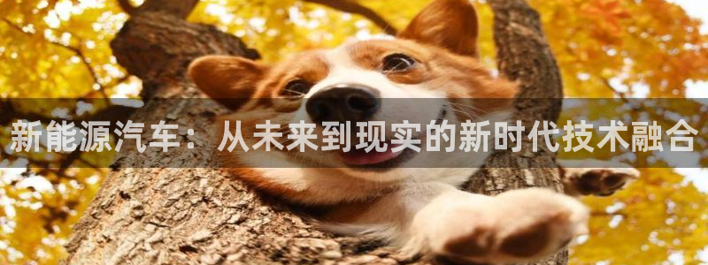 优发国际官网下载苹果版：新能源汽车：从未来到现实的新时代技术融合