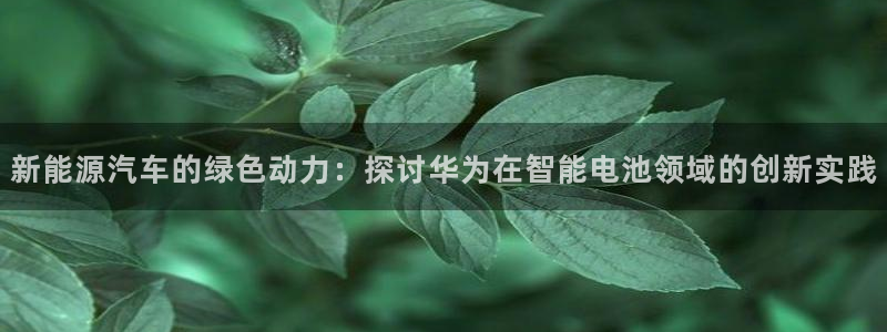 优发国际怎么样：新能源汽车的绿色动力：探