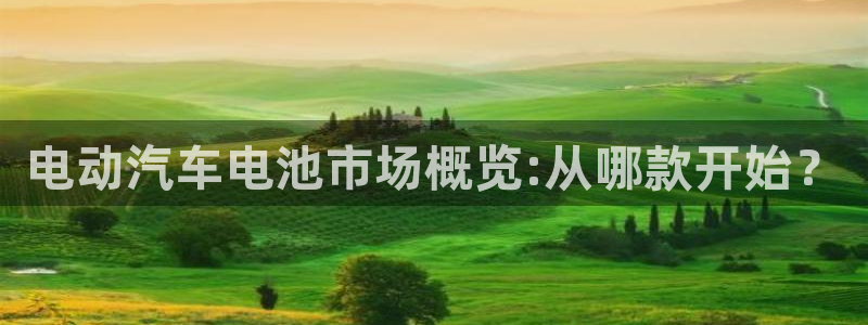 优发国际官网下载手机版：电动汽车电池市场概览:从哪款开始？
