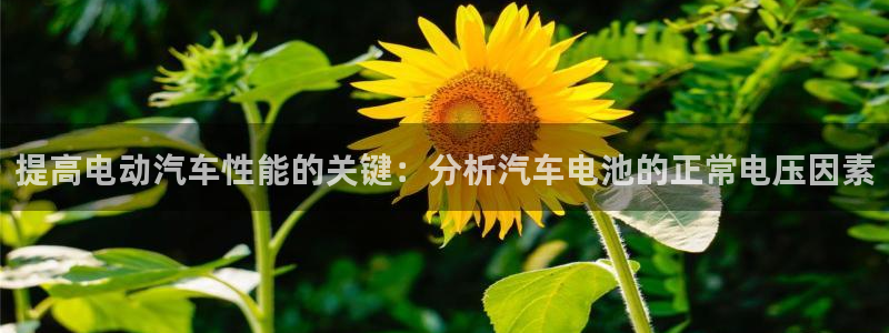 优发国际平台g8怎么样：提高电动汽车性能