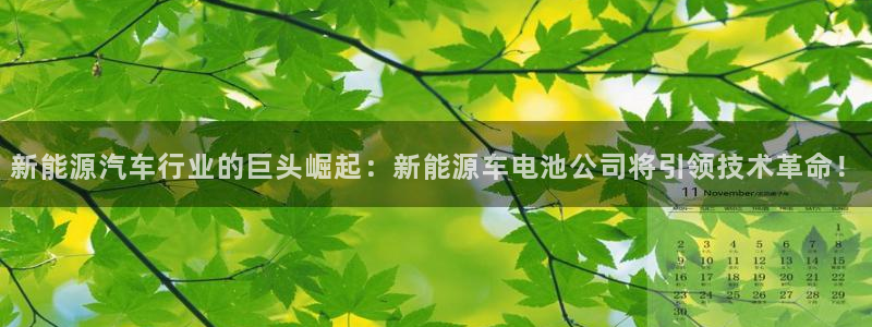 优发国际官网手机版入口：新能源汽车行业的巨头崛起：新能源车电池公司将引领技术革命！