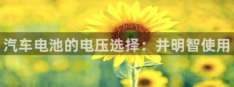优发国际官网手机号：汽车电池的电压选择：并明智使用