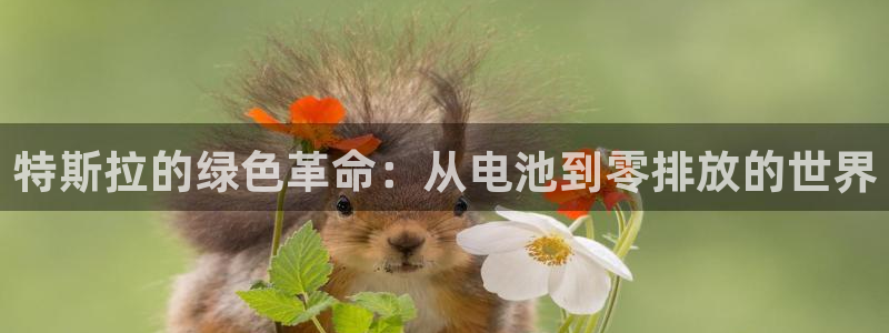优发国际登录首页：特斯拉的绿色革命：从电池到零排放的世界
